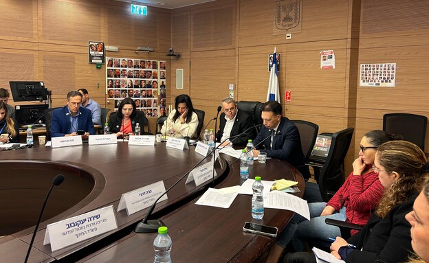 דיון בוועדת העלייה על מצוקות של ילדי עולים חדשים 