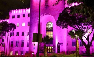 לילה סגול  (צילום: ארטים גיבטין ריבוע)