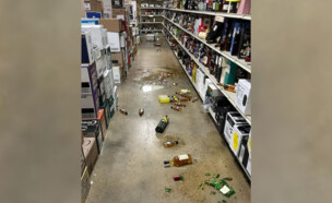 דביבון נכנס לחנות משקאות, השתכר והתעלף