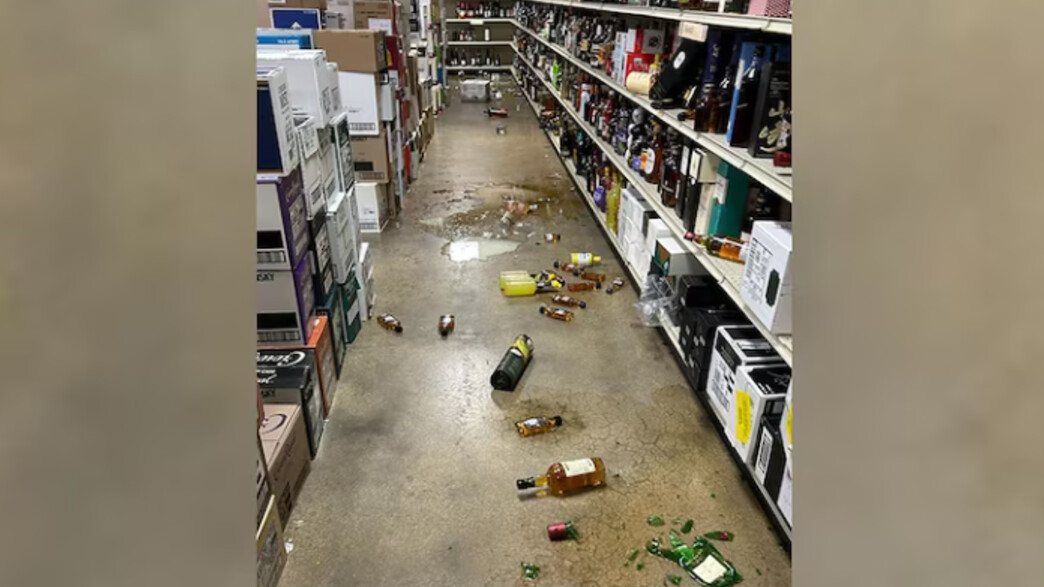 דביבון נכנס לחנות משקאות, השתכר והתעלף דביבון נכנס לחנות משקאות, השתכר והתעלף