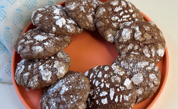 עוגיות שוקולד פאדג' מושלגות