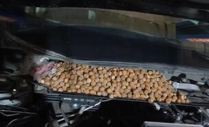 חיילונגג'יאנג (צילום: מתוך הרשתות החברתיות בהתאם לסעיף 27א' בחוק)