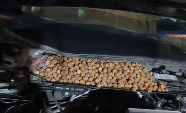 חיילונגג'יאנג