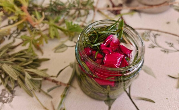 סדנת הרוקחות סדנת הרוקחות