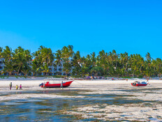 רחוב מקסיקו סיטי (צילום: Victor SG, shutterstock)