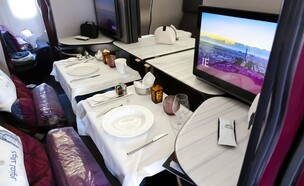 קטאר איירווייז (צילום: VanderWolf Images, shutterstock)