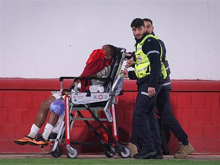 (צילום: מאור אלקסלסי)