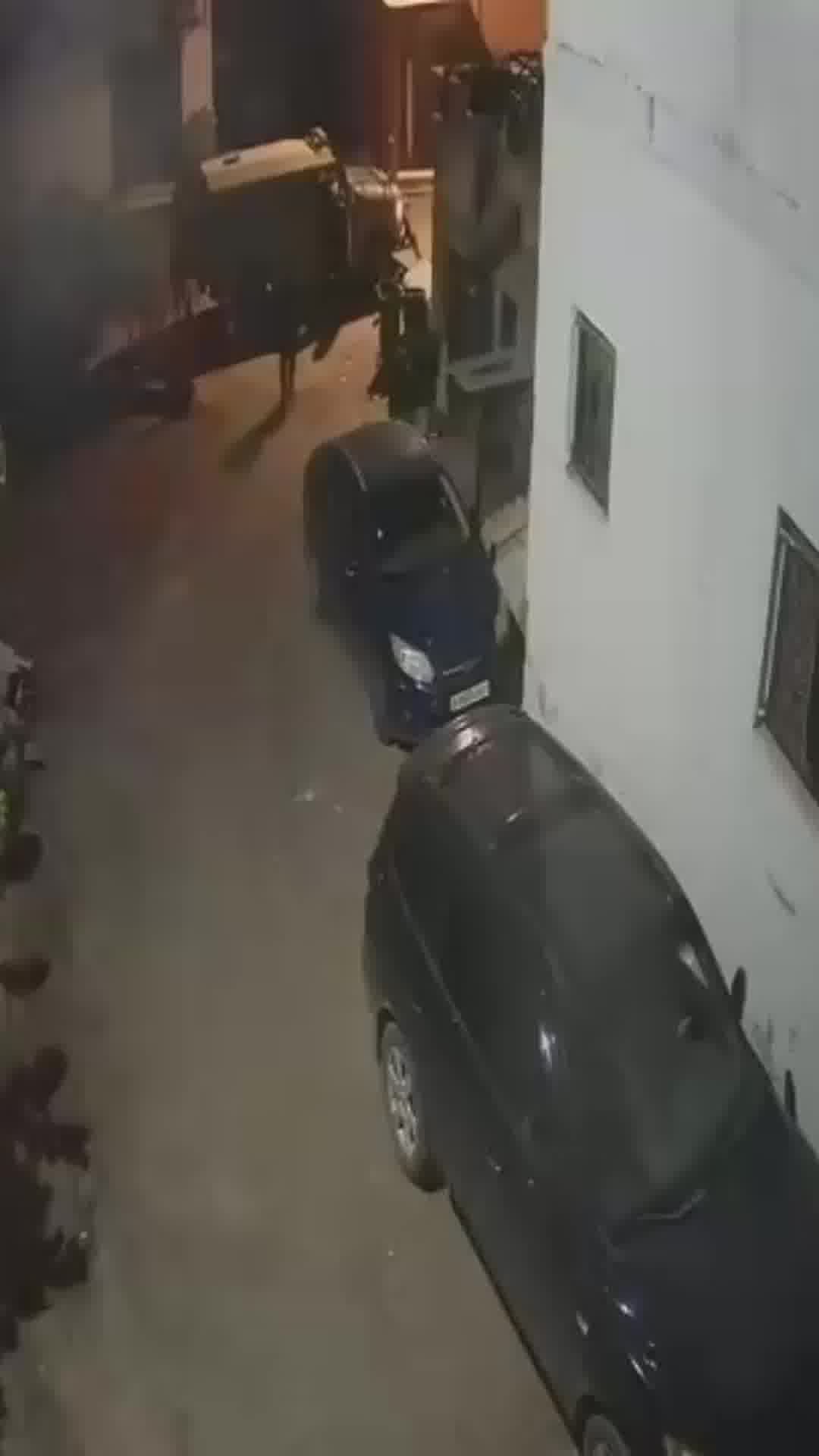 כוחות צה״ל פעלו הלילה נגד תשתיות טרור ומעצר מבוקשים בברטעה צפונית לג'נין בשומרון