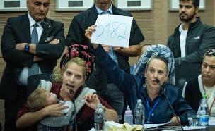 דיון ועדת חוץ וביטחון בכנסת (צילום: יונתן זינדל, פלאש 90)