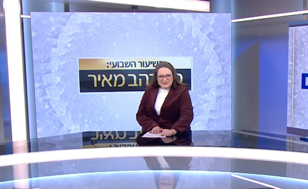 סיון רהב-מאיר 