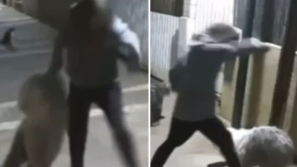 תיעוד ההתעללות בכלב בנתניה