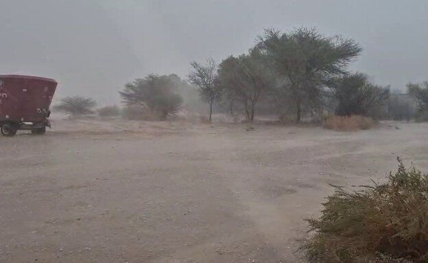 ברד ביטבתה ברד ביטבתה