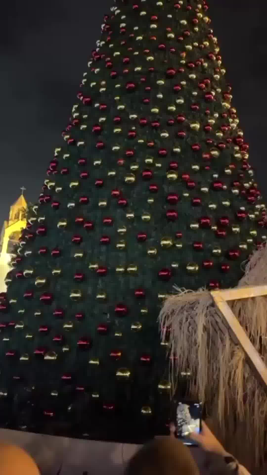 אחרי הפסקה של שנתיים בעקבות המלחמה בעזה: עץ חג המולד הודלק הערב בבית לחם