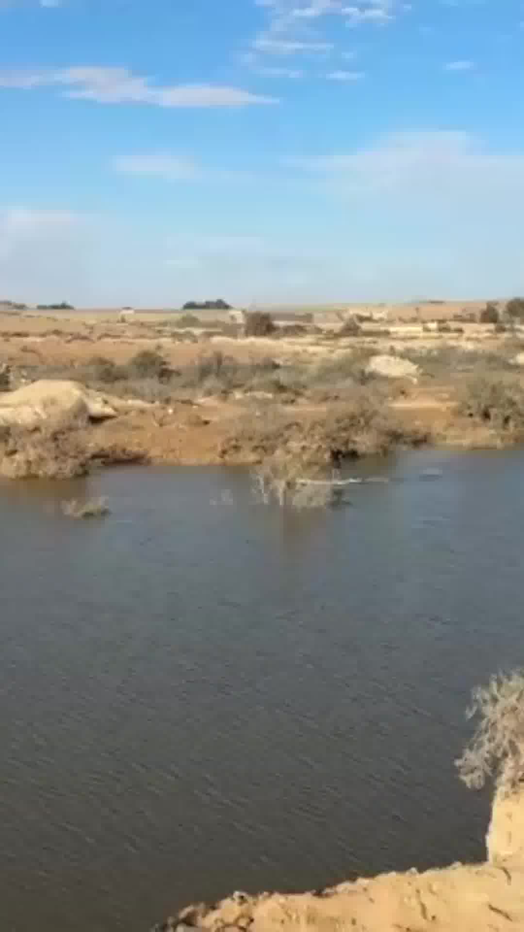 היום מעונן חלקית וקר יותר, בשעות הבוקר ייתכן גשם מקומי בצפון הארץ