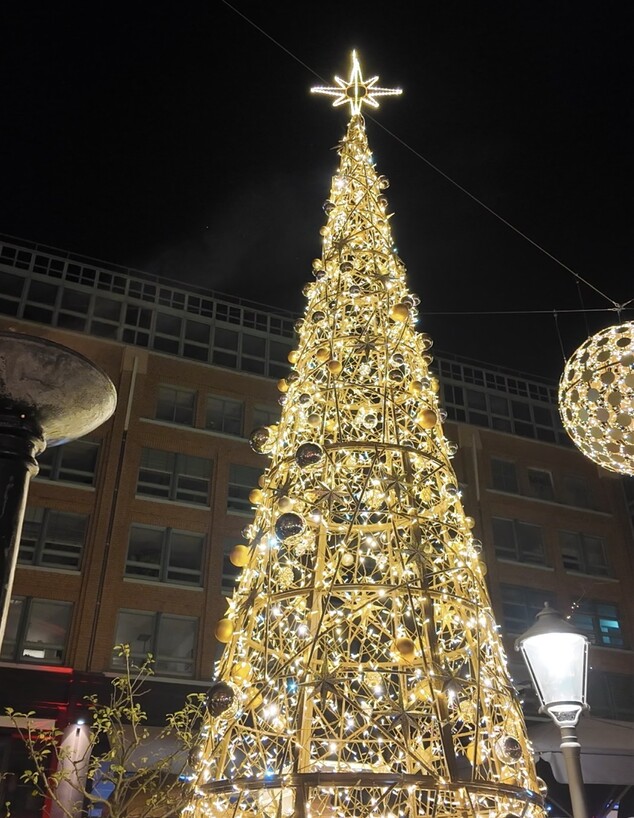 המבורג המבורג