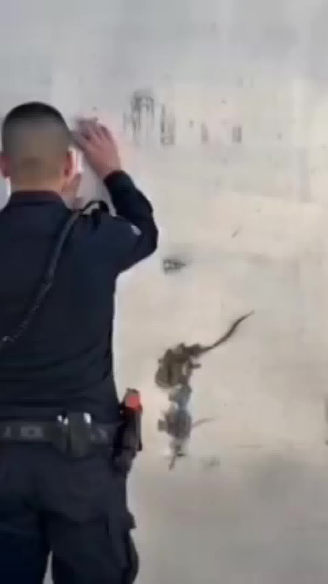 "תחנת הסמים" בכפר קרע נחשפה ונסגרה