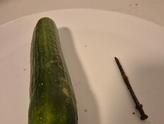 בני המשפחה נדהמו ממה שגילו בתוך המלפפון