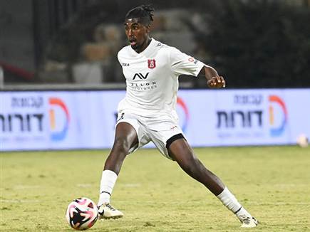 (ברני ארדוב)