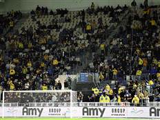 (צילום: אלן שיבר)