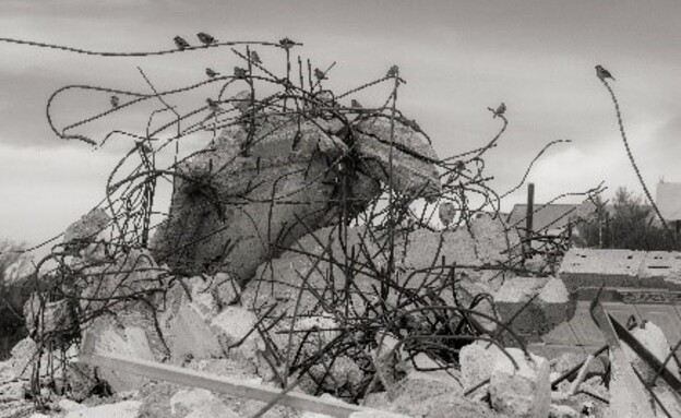 סדרות קצרות, מקום ראשון, עדות מקומית 2025 סדרות קצרות, מקום ראשון, עדות מקומית 2025