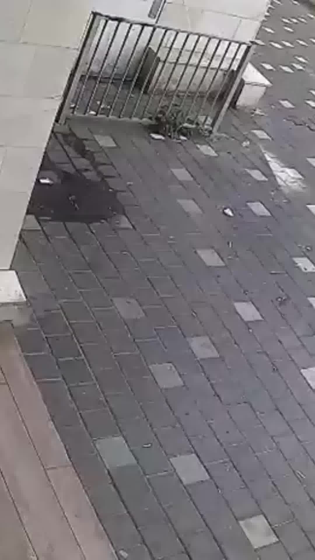 רימון הלם הושלך על בניין מגורים בחדרה, במקום נפגעת באורח קל ונגרם נזק