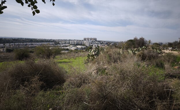 מודיעין מודיעין