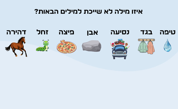 חידת סדרת המילים