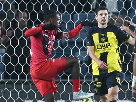 אשטה כבש ראשון במתפרצת (צילום: ברני ארדוב)