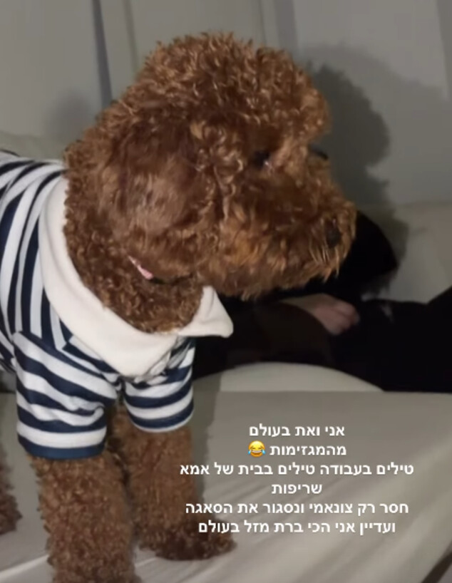 מתוך הסטורי של אן אברהמי