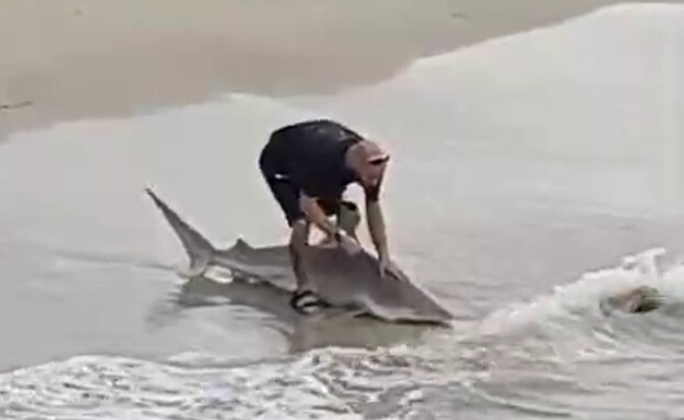 תיעוד: גבר דג כריש בחופי אשדוד