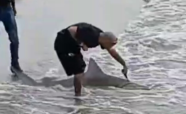 תיעוד: גבר דג כריש בחופי אשדוד