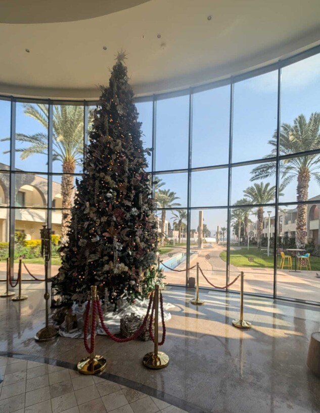 עץ חג מולד מלון מגדלה כנרת עץ חג מולד מלון מגדלה כנרת