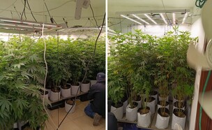 מעבדת ההידרו שהוקמה בבית בני הזוג