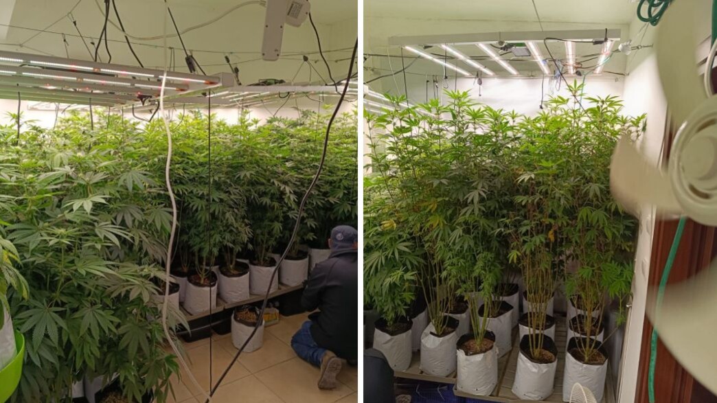 מעבדת ההידרו שהוקמה בבית בני הזוג