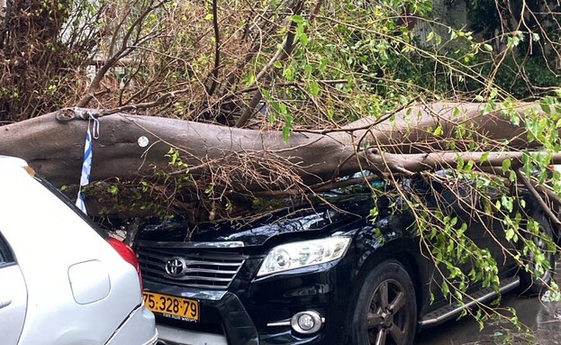רחוב באר טוביה בתל אביב בסופת ביירון רחוב באר טוביה בתל אביב בסופת ביירון
