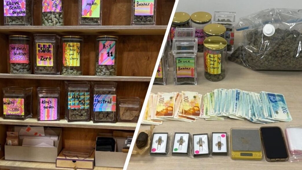 הסמים שנתפסו הסמים שנתפסו