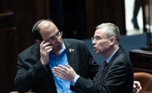 יריב לוין, שמחה רוטמן (צילום: יונתן זינדל, פלאש 90)