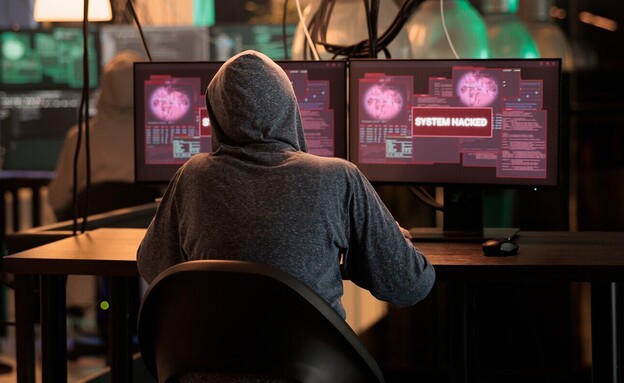 האקר, תקיפת סייבר (צילום: DC Studio, shutterstock)