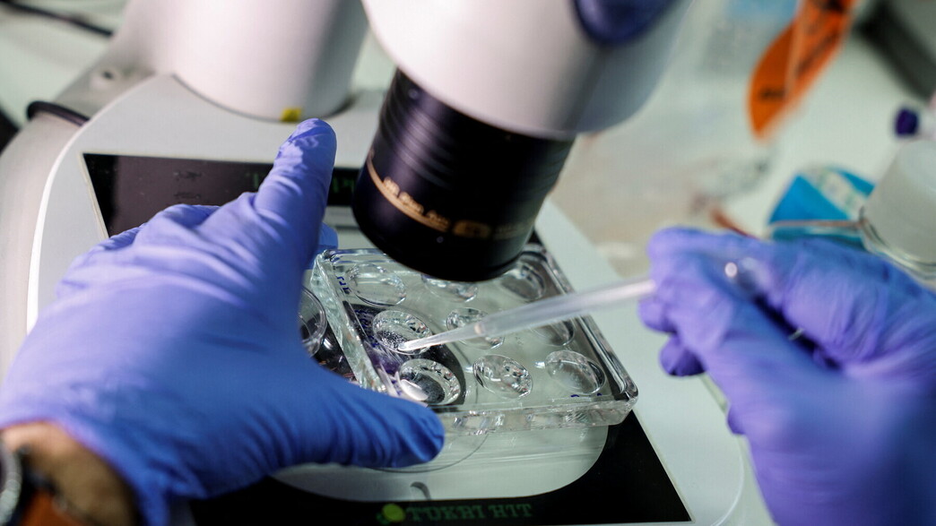 תרומת זרע, עובר אנושי