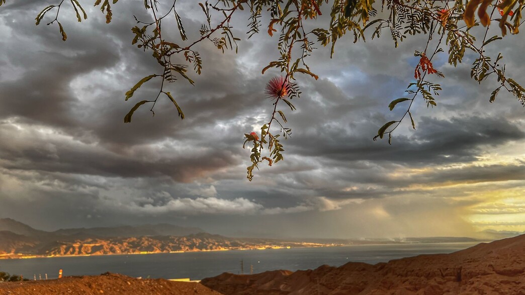 מזג האוויר היום יהיה נוח, בקרוב הגשם חוזר לביקור | התחזית המלאה