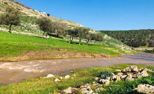 טיילת נחל ציפורי טיילת נחל ציפורי