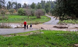 נחל כסלון (צילום: חיים סהר)