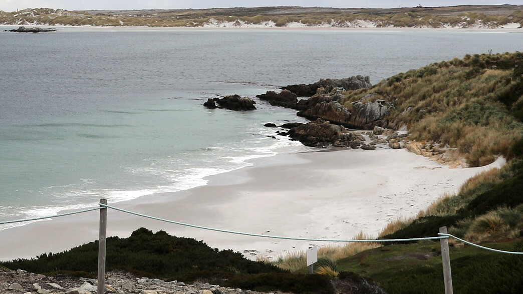 איי פוקלנד איי פוקלנד