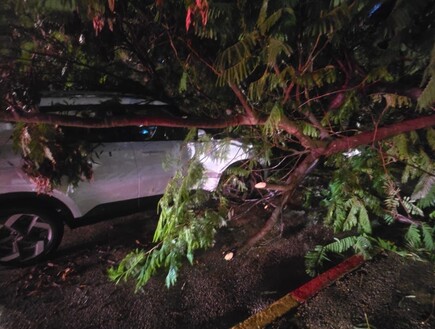 עמוד חשמל התלקח בשדרות, עץ קרס על רכב בחולון