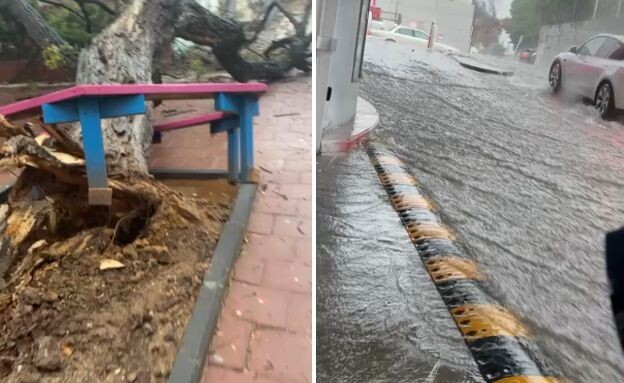 ביירון: הצפות ביבנה, עץ שקרס בראשון לציון ביירון: הצפות ביבנה, עץ שקרס בראשון לציון