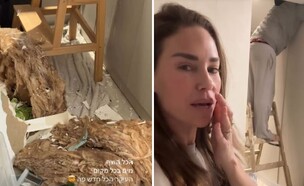 דנה גורצקי בית (צילום: מתוך עמוד האינסטגרם של דנה גרוצקי)