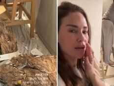 דנה גורצקי בית