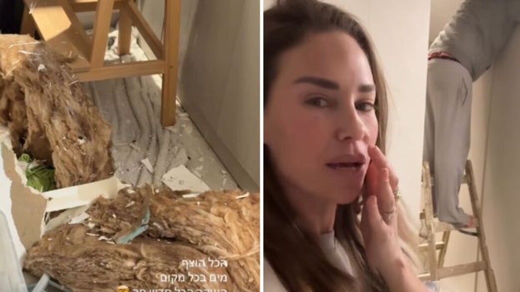 דנה גורצקי בית