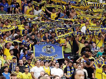 הקאמבק נראה קרוב (אלן שיבר)