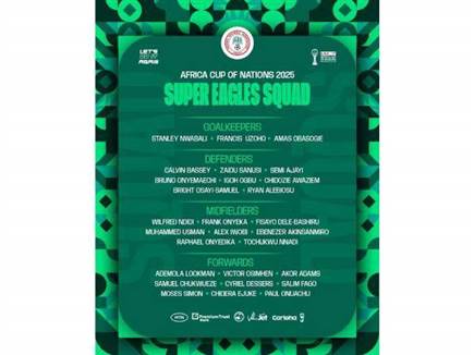 הסגל המלא של נבחרת ניגריה (צילום: ספורט 5)